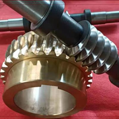 Worm Gear